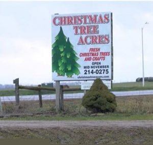 Christmas Tree Acres Sign
