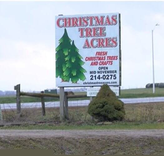 Christmas Tree Acres Sign